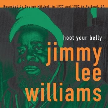 Williams Jimmy Lee - Hoot Your Belly in der Gruppe VINYL / Jazz/Blues bei Bengans Skivbutik AB (1951506)