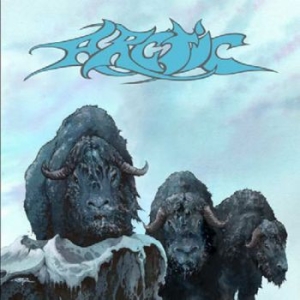 Arctic - Arctic in der Gruppe CD bei Bengans Skivbutik AB (1968026)