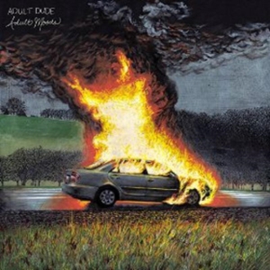 Adult Dude - Adult Moods in der Gruppe VINYL bei Bengans Skivbutik AB (1968533)