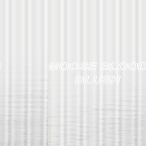 Moose Blood - Blush in der Gruppe CD bei Bengans Skivbutik AB (1969343)