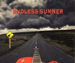 Sumner Will - Endless Summer in der Gruppe CD bei Bengans Skivbutik AB (1969538)