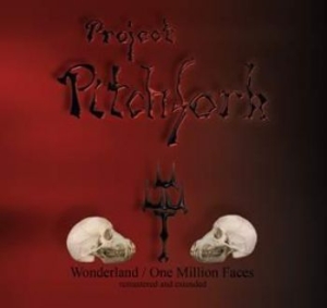 Project Pitchfork - Wonderland / One Million Faces (Rem in der Gruppe CD bei Bengans Skivbutik AB (1970461)