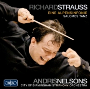 Strauss Richard - Eine Alpensinfonie in der Gruppe CD bei Bengans Skivbutik AB (1974911)