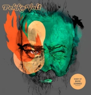 Pekka Volt - Diary Of Buck Sonnet in der Gruppe VINYL bei Bengans Skivbutik AB (1981988)