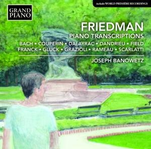 Friedman Ignaz - Piano Transcriptions in der Gruppe CD bei Bengans Skivbutik AB (2003516)