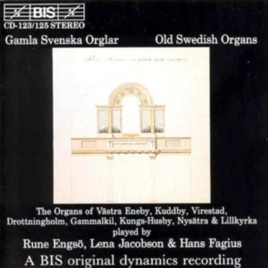 Various - Old Swedish Orgs in der Gruppe CD bei Bengans Skivbutik AB (2006642)