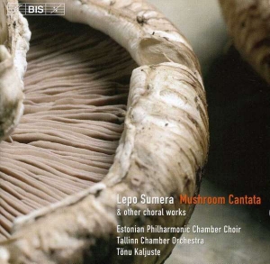 Sumera - Choir Music in der Gruppe CD bei Bengans Skivbutik AB (2006696)