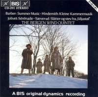 Various - Music For Wind Quintet in der Gruppe CD bei Bengans Skivbutik AB (2006828)