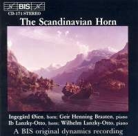 Various - Scandinavian Hn in der Gruppe CD bei Bengans Skivbutik AB (2007201)