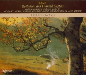 Liszt Franz - Complete Piano Works 24 /Septe in der Gruppe CD bei Bengans Skivbutik AB (2007849)