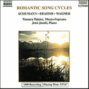 Various - Romantic Song Cycles in der Gruppe CD bei Bengans Skivbutik AB (2009408)