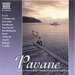 Various - Pavane in der Gruppe CD bei Bengans Skivbutik AB (2009787)