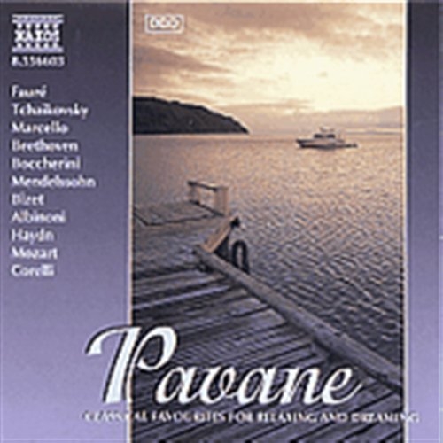 Various - Pavane in der Gruppe CD / Bestseller bei Bengans Skivbutik AB (2009787)