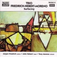 Trio Friedrich-Hebert-Moreno - Surfacing in der Gruppe CD bei Bengans Skivbutik AB (2010033)