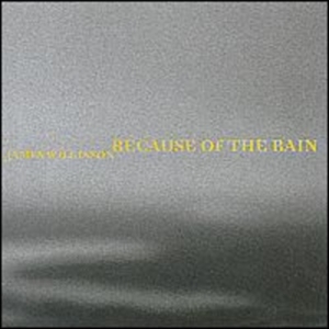 Wilkinson James - Because Of The Rain in der Gruppe CD bei Bengans Skivbutik AB (2010552)