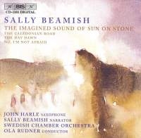 Beamish Sally - Imagined Sound Of Sun. in der Gruppe CD bei Bengans Skivbutik AB (2010687)