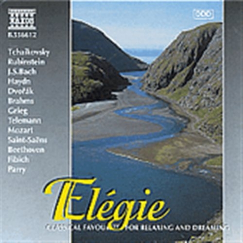 Various - Elegie in der Gruppe CD / Bestseller bei Bengans Skivbutik AB (2010751)