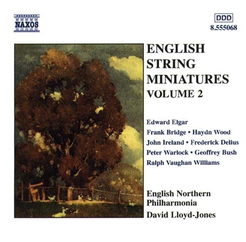 Various - Eng String Miniatures 2 in der Gruppe CD / Bestseller bei Bengans Skivbutik AB (2010786)