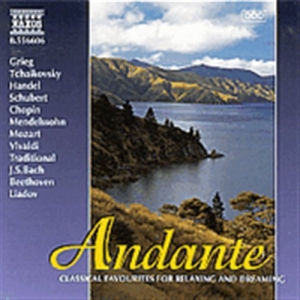 Various - Andante in der Gruppe CD bei Bengans Skivbutik AB (2010832)