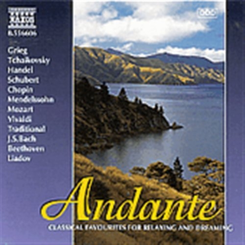 Various - Andante in der Gruppe CD / Bestseller bei Bengans Skivbutik AB (2010832)