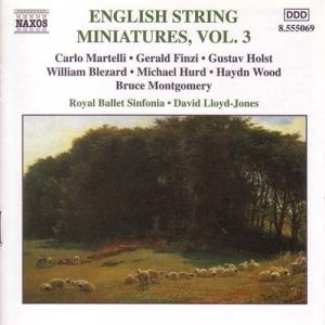 Various - Eng String Miniatures 3 in der Gruppe CD bei Bengans Skivbutik AB (2010844)