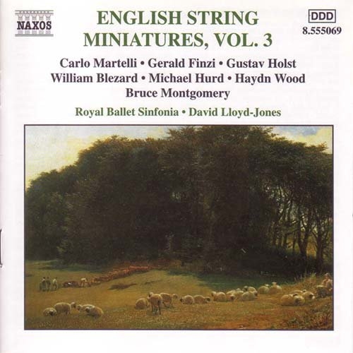 Various - Eng String Miniatures 3 in der Gruppe CD / Bestseller bei Bengans Skivbutik AB (2010844)