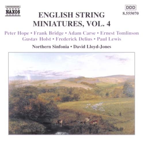 Various - Eng String Miniatures 4 in der Gruppe CD / Bestseller bei Bengans Skivbutik AB (2010865)