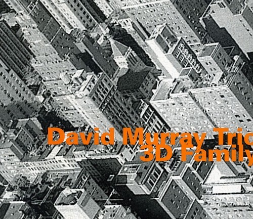 Murray David (Trio) - 3D Family in der Gruppe CD / Jazz/Blues bei Bengans Skivbutik AB (2011123)