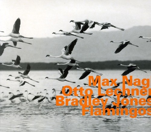 Nagl Max - Lechner/Jones/ Flamingos in der Gruppe CD / Jazz/Blues bei Bengans Skivbutik AB (2011276)