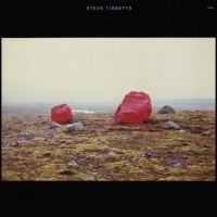 Tibbetts Steve - Exploded View in der Gruppe CD bei Bengans Skivbutik AB (2012836)