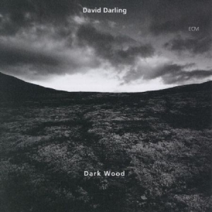 Darling David - Dark Wood in der Gruppe CD bei Bengans Skivbutik AB (2012861)