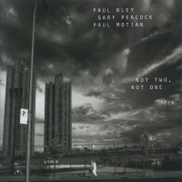 Bley Paul - Not Two, Not One in der Gruppe CD / Jazz bei Bengans Skivbutik AB (2012886)