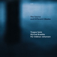 Seim Trygve - The Source And Different Cikadas in der Gruppe CD bei Bengans Skivbutik AB (2012907)