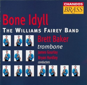 Various - Bone Idyll/Williams Fairey in der Gruppe CD bei Bengans Skivbutik AB (2013059)
