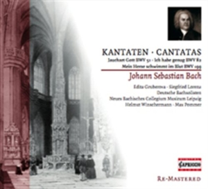 Bach - Cantatas in der Gruppe CD bei Bengans Skivbutik AB (2014215)