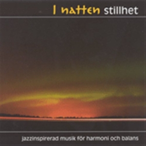Various - I Natten Stillhet - 1Cd in der Gruppe CD bei Bengans Skivbutik AB (2014669)