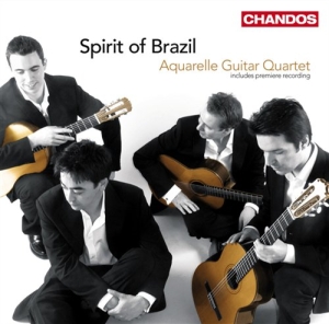Various Composers - Spirit Of Brazil in der Gruppe CD bei Bengans Skivbutik AB (2014764)