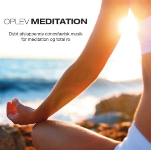Pier Federici Alexandre - Oplev: Meditation in der Gruppe CD bei Bengans Skivbutik AB (2015151)