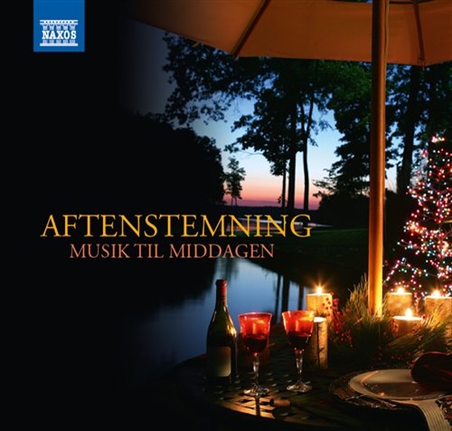 Various - Aftenstemning in der Gruppe CD / Bestseller bei Bengans Skivbutik AB (2015515)