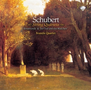 Schubert Franz - String Quartets: Rosamunde & Death in der Gruppe CD bei Bengans Skivbutik AB (2015732)
