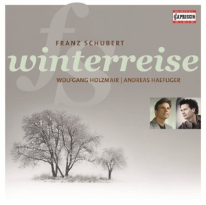 Schubert - Winterreise in der Gruppe CD bei Bengans Skivbutik AB (2015944)