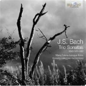 Bach - Trio Sonatas in der Gruppe CD bei Bengans Skivbutik AB (2016186)