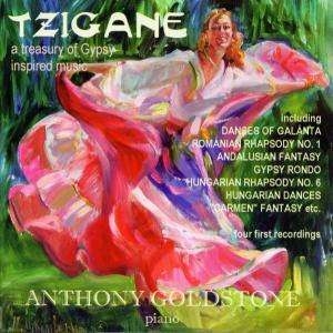 Various - Tzigane in der Gruppe CD bei Bengans Skivbutik AB (2016595)