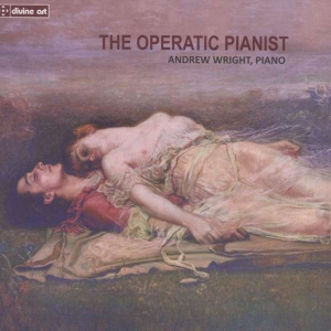 Various - The Operatic Pianist in der Gruppe CD bei Bengans Skivbutik AB (2016671)