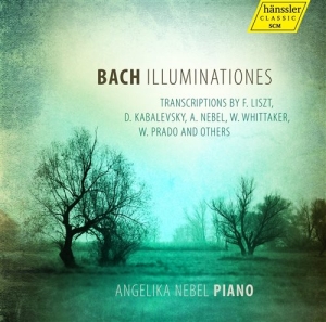 Bach Johann Sebastian - Illuminationes in der Gruppe CD bei Bengans Skivbutik AB (2017153)