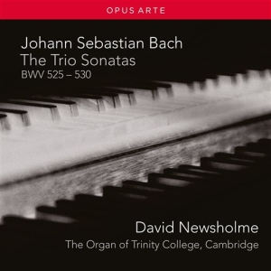 Bach J. S. - The Trio Sonatas in der Gruppe CD bei Bengans Skivbutik AB (2017236)