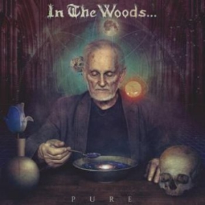 In The Woods - Pure in der Gruppe CD bei Bengans Skivbutik AB (2032066)
