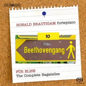 Beethoven - Complete Works For Solo Piano Vol 1 in der Gruppe MUSIK / SACD / Klassiskt bei Bengans Skivbutik AB (2035183)