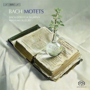 Bach - Motets in der Gruppe MUSIK / SACD / Klassiskt bei Bengans Skivbutik AB (2035214)