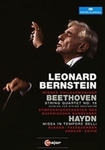 Bernstein - Conducts Beethoven / Haydn in der Gruppe DVD & BLU-RAY bei Bengans Skivbutik AB (2035476)